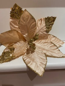 Gold Poinsettia