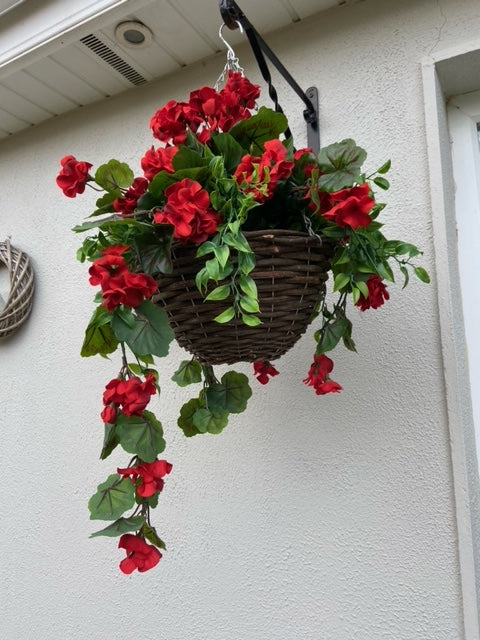 Red Geranium hanging basket
